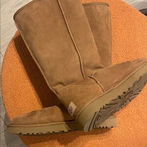 UGG Chestnut Suede Winter Boots